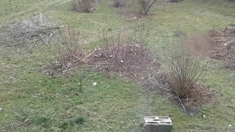 dlaczego wysoka wrażliwość jest nierealna