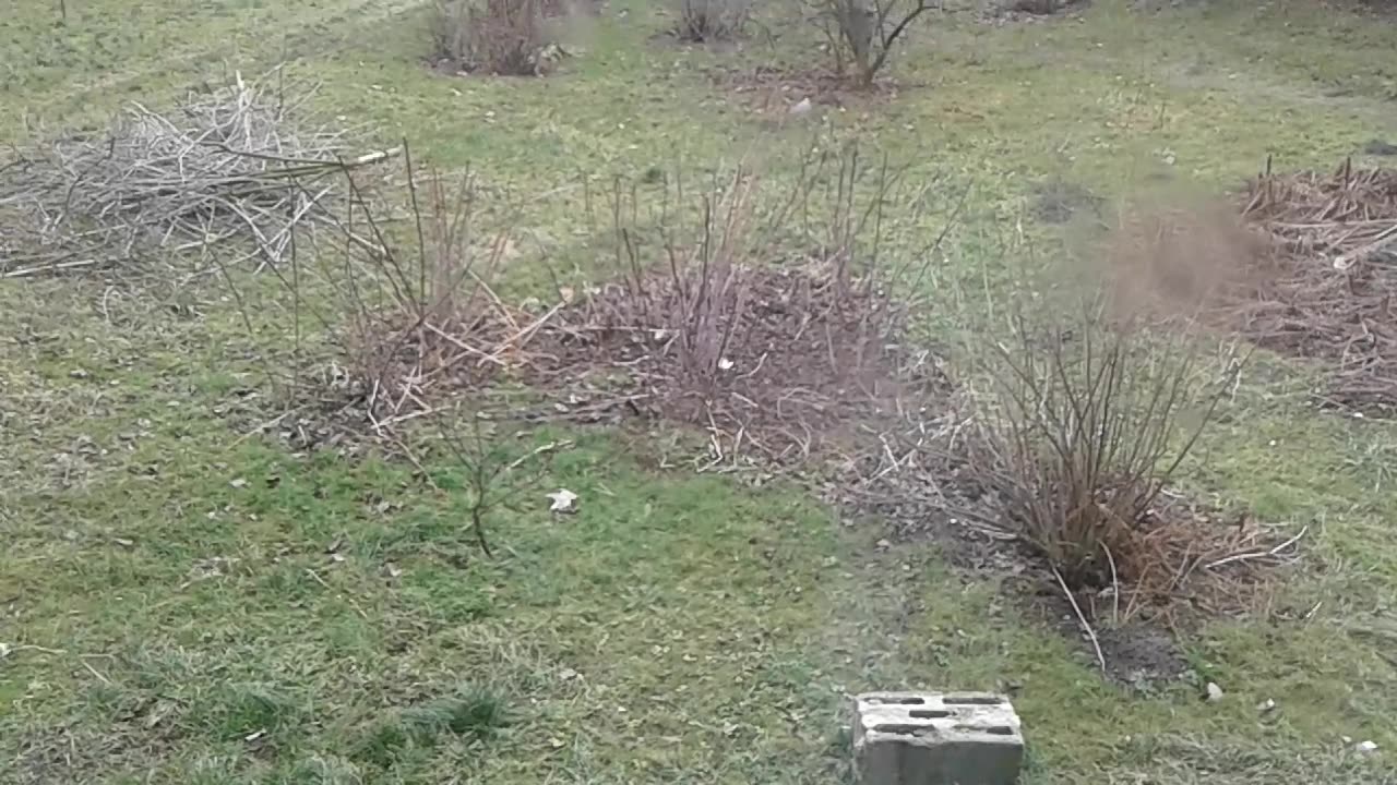 dlaczego wysoka wrażliwość jest nierealna