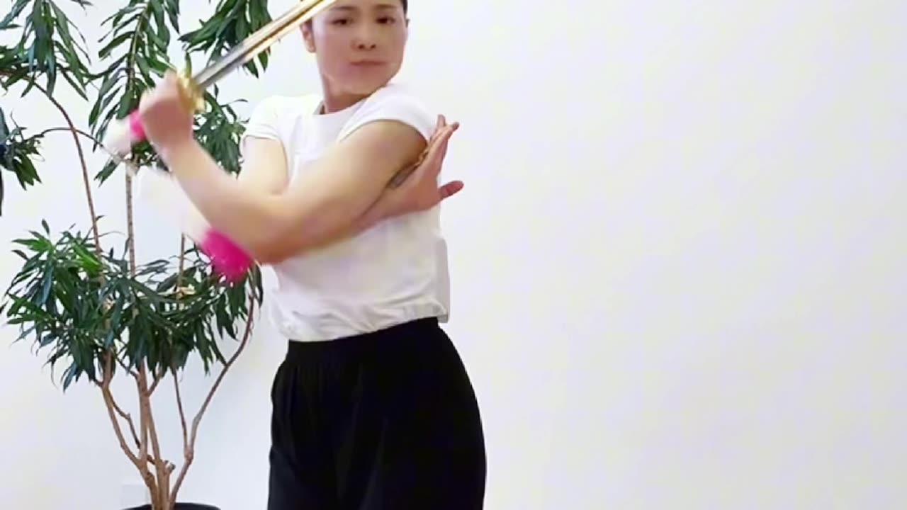 1077.君子佩劍