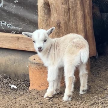 It's a head scratcher, FOR SURE!!!