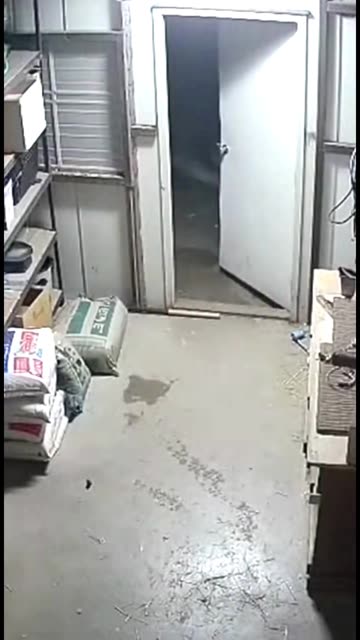 Pitbull Didn’t Hesitate 😳 #cctv #pitbull #caughtoncamera #horror