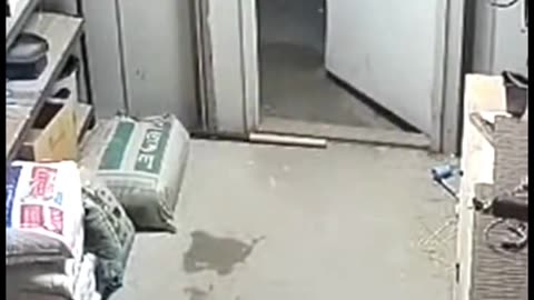 Pitbull Didn’t Hesitate 😳 #cctv #pitbull #caughtoncamera #horror