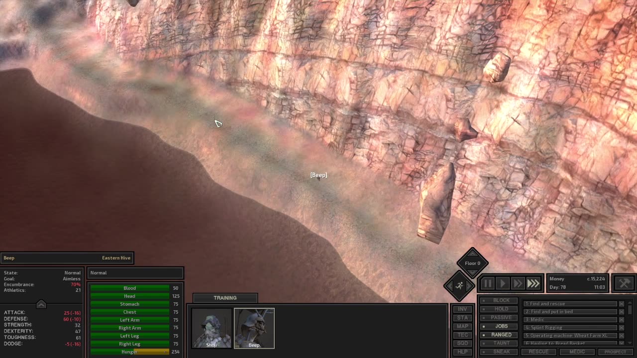 Shoji smiths on his journey. (SJ-10)