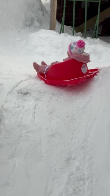 Baby's First Sled Ride