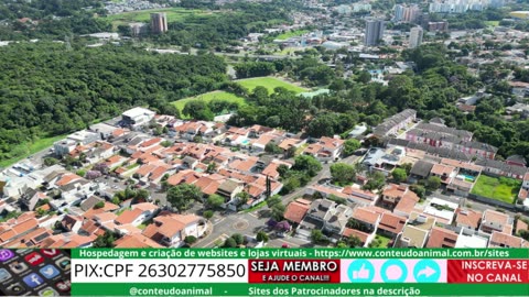 voando na invernada em Valinhos SP