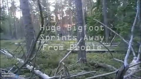HUGE BIGFOOT SPRINTS FROM PEOPLE