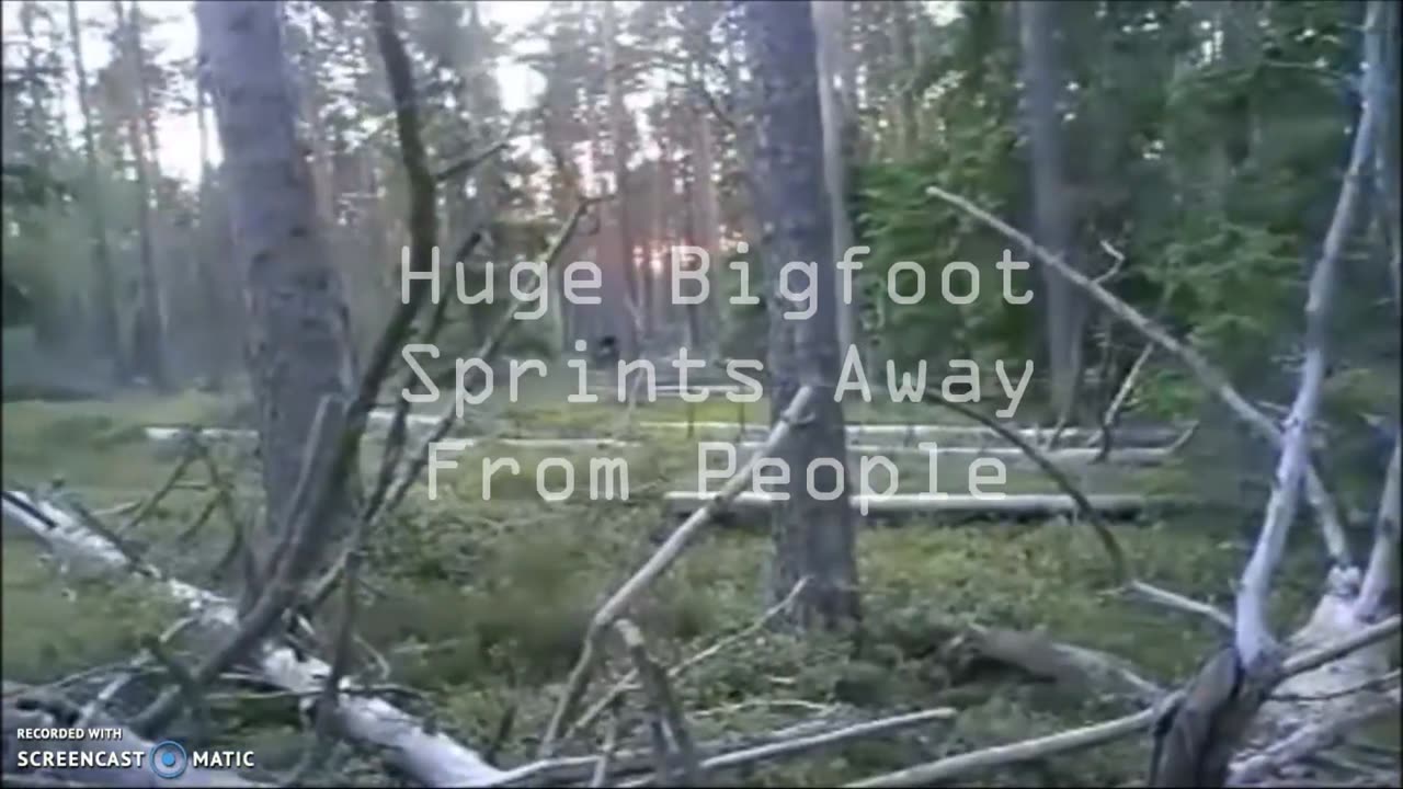HUGE BIGFOOT SPRINTS FROM PEOPLE