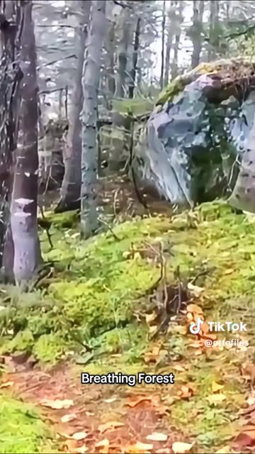 Things humans wear never meant to see part 97