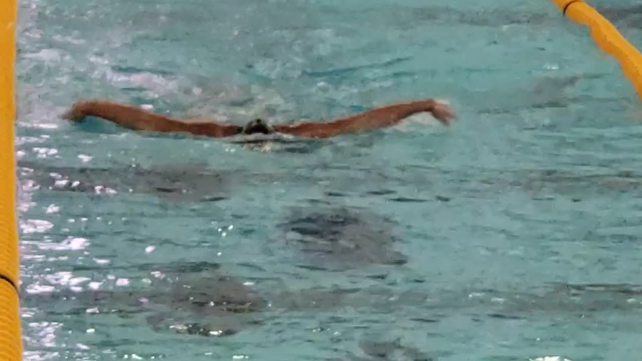 11 Oct 2025 - Fly clinic