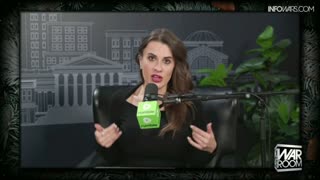 INFOWARS LIVE - 12/2/25: Nick Fuentes / The American Journal with Breanna Morello / The Alex Jones Show / The War Room With Harrison Smith