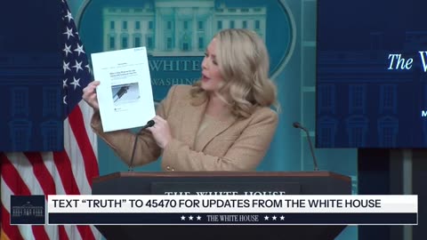 Karoline Leavitt Eviscerates NYT Reporter For Suggesting Trump Is Declining