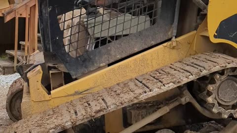 CAT 277C Carrying Kiln Dried Firewood