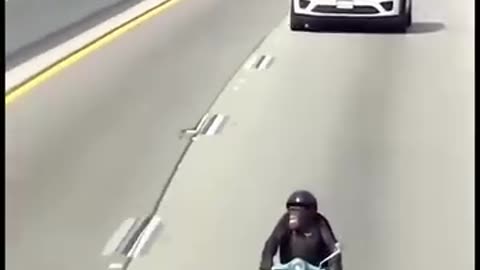 Chimp escaped the zoo riding a scooter