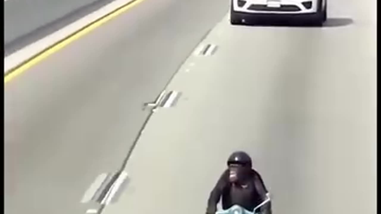 Chimp escaped the zoo riding a scooter