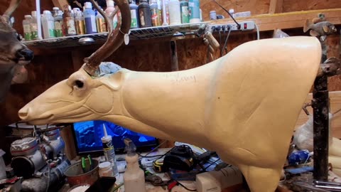 How I set eyes on a fullsneak