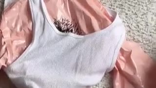 😂🤣 Just Say No! | FunFM