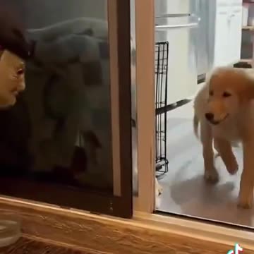 Is this abuse or humor??