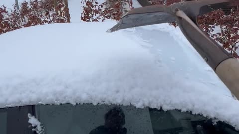 Guy Shovels Snow Off His BMW