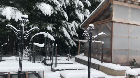 Garden-Dec. 2024