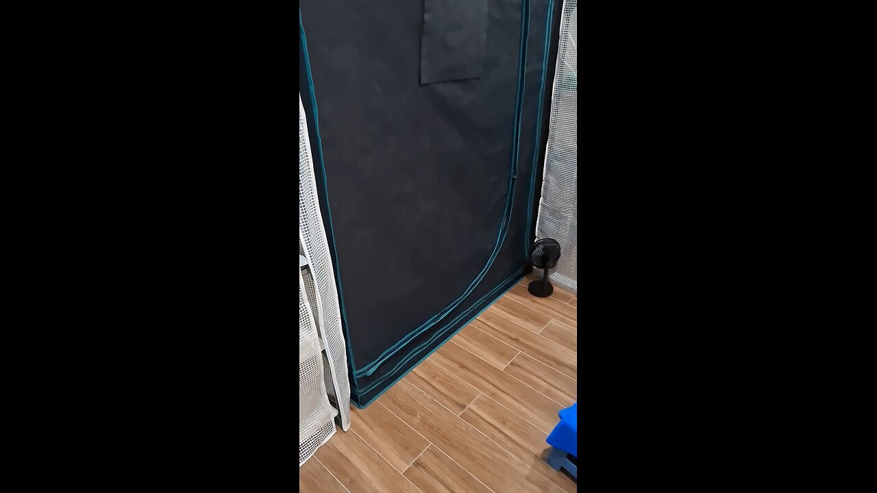 My tent set-up - November 2025