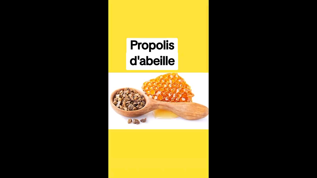 bee propolis/ دنج النحل / propolis d'abeilles