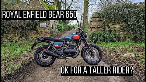 Royal Enfield Interceptor Bear 650 first ride | Tall Rider Review