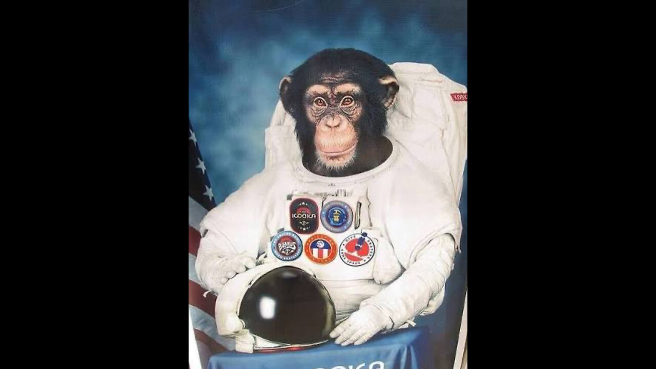 Battlefield 6 RED SEC