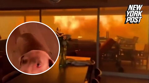 Video shows two men and a dog trapped in home as Palisades fire rages around them