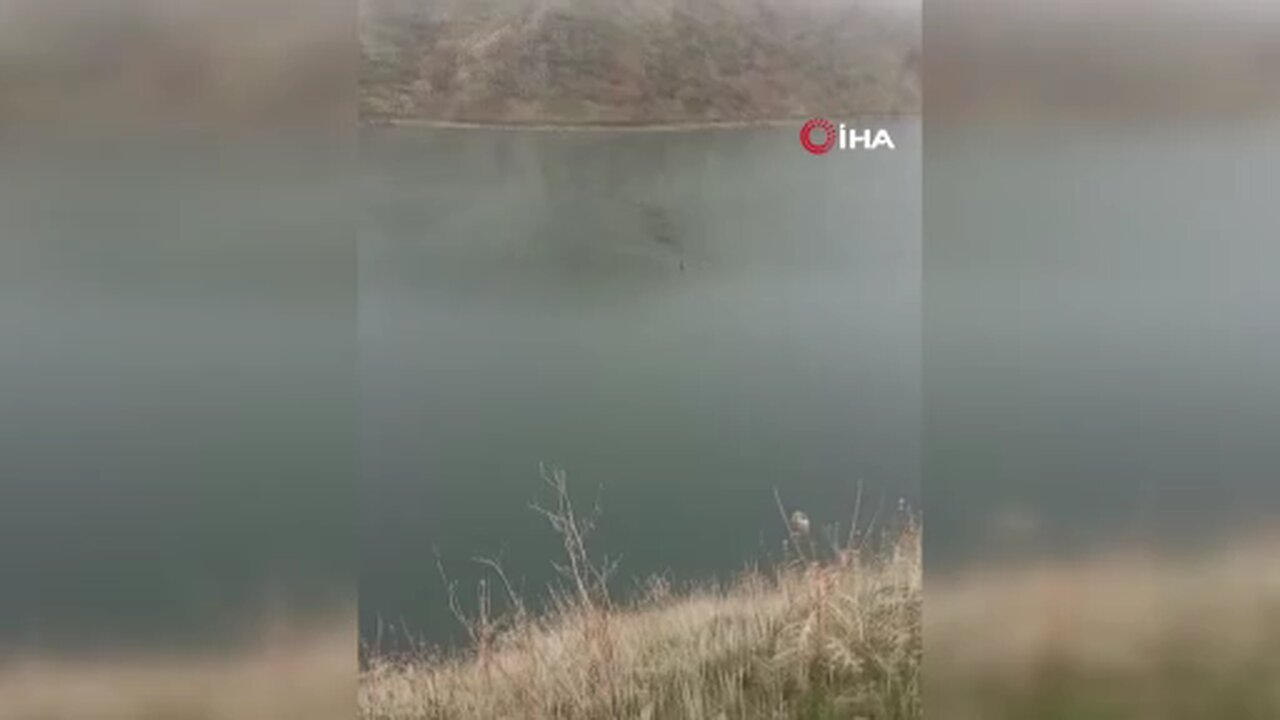 Sarp kayalıkların ustası baraj gölünde yüzerken görüldü