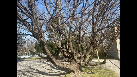 Spring outdoors