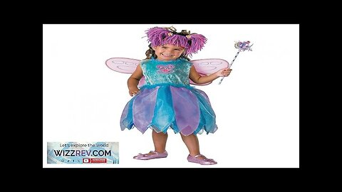 Abby Cadabby Sesame Street Girls Fairy Costume Small Review