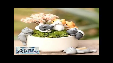 6Pcs/Set Cartoon Lucky Cat Home Garden Bonsai Decorations Miniatures Gift Lovely Micro Review