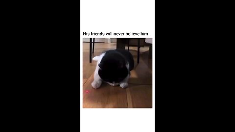 “When Life Gives You Funny Mood | Ultimate Meme Shorts”