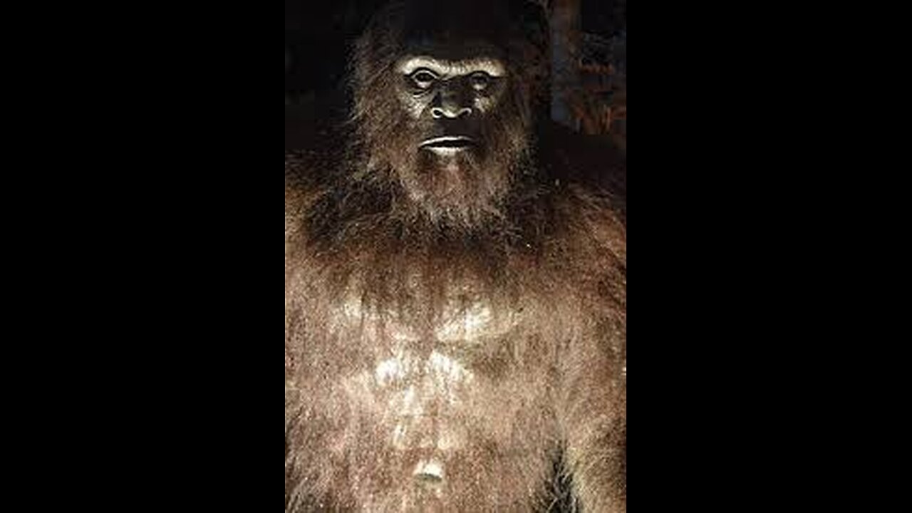 Unbelievable Paranormal Stories: UFOs, Bigfoot & More!