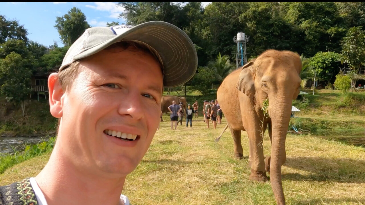 Hanging Out With Elephants