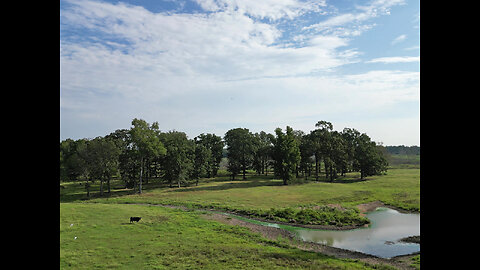 1075 acre Three Creeks Cattle Ranch For Sale, Simms, TX, Bowie County