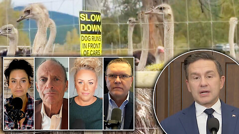 Some conservatives say Poilievre should show more support for embattled B.C. ostrich farm