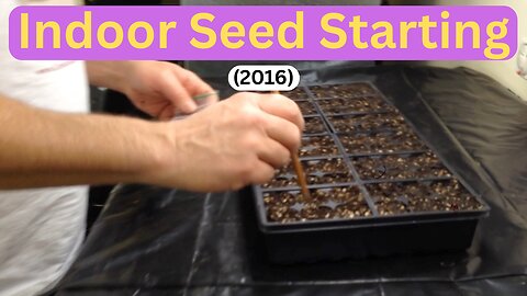Indoor Seed Starting