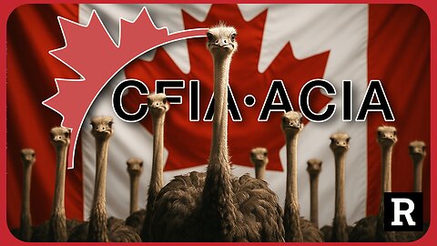 Canada's CFIA is a "Criminal Organization" terrorizing local ostrich farmers "This NEEDS to stop" 