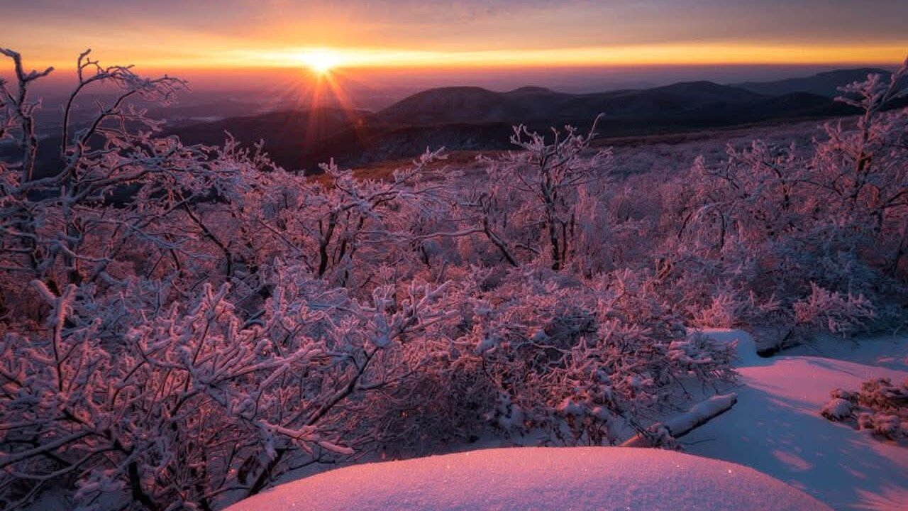 Good Morning #ComicsGate Ep #77