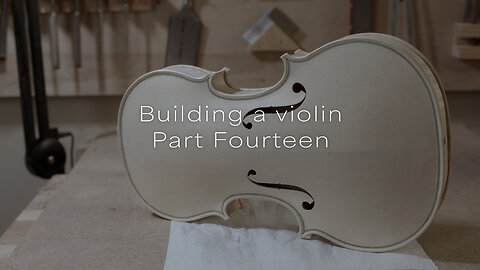 Project | Building a Violin : Part 14, the body