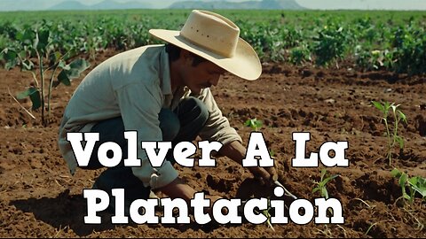 La Plantación Siempre Espera: Nadie Está a Salvo de Recaer
