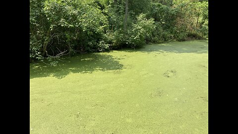 The Great Deceptions