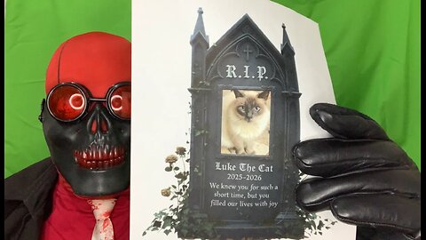 In Memoriam Luke The Cat