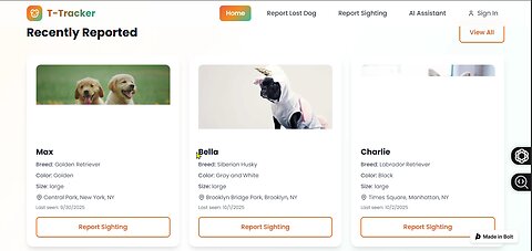 🐶 New Project Drop: Dog Finder Website Design