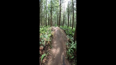 “Double Vision” Galbraith mountain in Bellingham, Washington