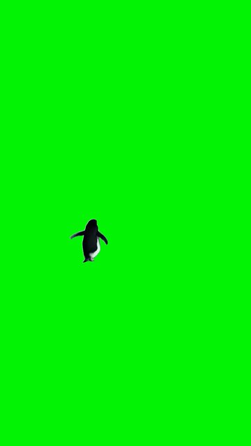 Nihilist Penguin | Green Screen #penguin #nihilism #mountain #philosophy #fyp