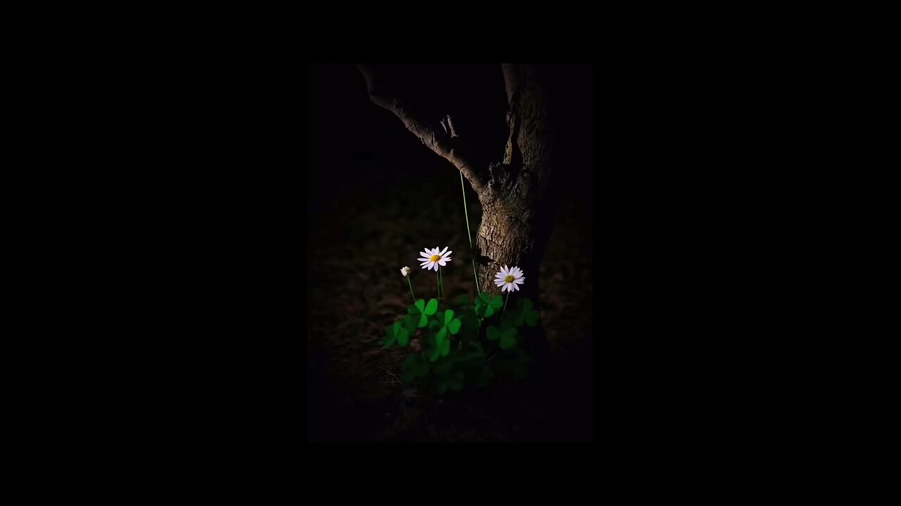  Beautiful Recitation of Surah Yunus ☘️ تلاوة خاشعة #راحة_نفسية 🍃