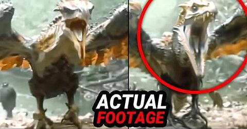 NEW CAMERA EVIDENCE YOU MUST SEE NOW