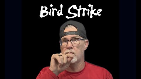 🚨 Ya See Bird Strikes? 😱 #ASL #deaf #realtalk #signlanguage
